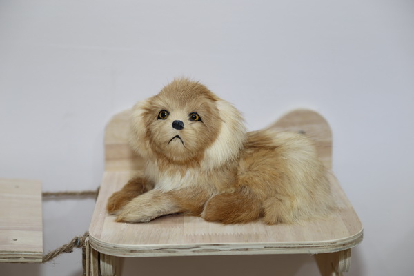 眾地家紡發(fā)力寵物用品， 倍受日商青睞