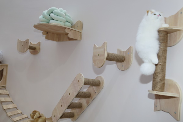 眾地家紡發(fā)力寵物用品， 倍受日商青睞