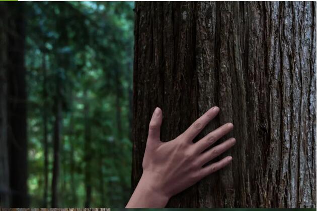 蘭精在2024年上海國際紡織面料展上展示用于防紫外線服裝*的天絲&trade;莫代爾纖維