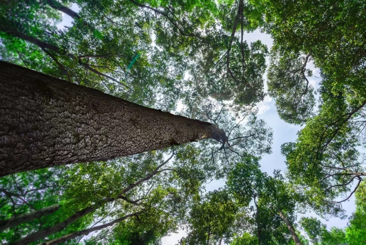 蘭精在2024年上海國際紡織面料展上展示用于防紫外線服裝*的天絲&trade;莫代爾纖維