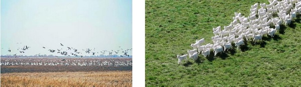 &ldquo;善議：探索前沿&rdquo;可持續(xù)時尚論壇