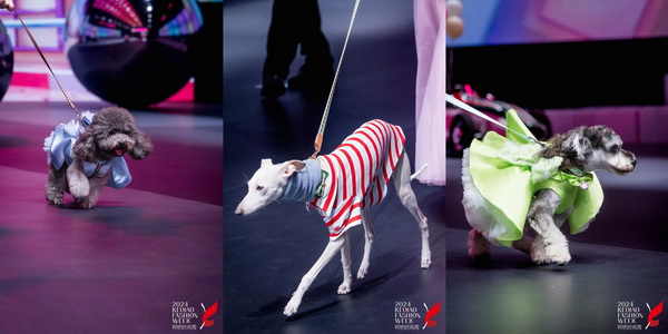 柯橋時尚綻放高光！20場品牌發(fā)布會傳遞原創(chuàng)設計之美