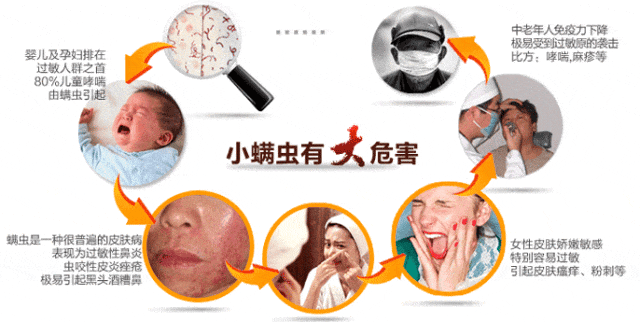 防螨！已成為健康的&ldquo;新剛需&rdquo;--武漢時間科技推出紡織品防螨整理劑喜化&reg;植螨零