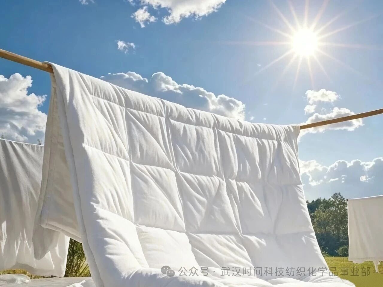 防螨！已成為健康的&ldquo;新剛需&rdquo;--武漢時間科技推出紡織品防螨整理劑喜化&reg;植螨零